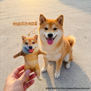 May include: A plush toy shaped like a Shiba Inu dog with a printed face, held up next to a real Shiba Inu dog. The toy features the text "cursed & cute!" above it, and the bottom right corner displays the text "SOLD ONLY AT ETSY: CUDDLE MUSE.ETSY.COM".