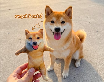 Custom Poseable Pet Plush - Funny Flat Dog Doll, Unhinged Gift for Pet Lover, Derpy Cat Photo Pillow, Custom Animal Clone