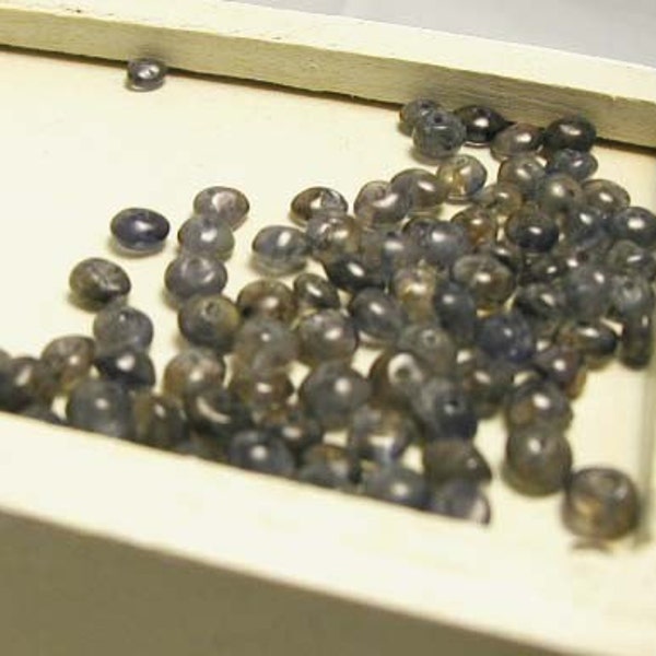 Iolite Beads - Small - 50 pcs.