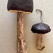 see more listings in the Velvet Mushrooms section