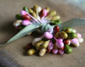 Reserved for Kimberlee spring garden......tiny double ended stamens