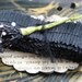 Black Crepe Paper Ruffle Garland - Black Crepe Paper Party Trim - Vintage Halloween Paper Mache Figure Trim - Rustic Primitive Paper Accent