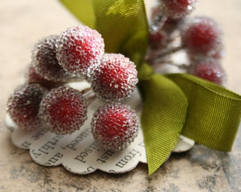 Red Frosted Stamen Balls - Cranberry Holiday Headband Crown - Christmas Collage Decoration - Sugar Stamen Berry Millinery Wedding Supplies
