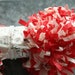 Valentine Fringed Paper Garland - Red and White Vintage Style Decorating Bunting - Party Favor Festooning Trim - Holiday Basket Filler