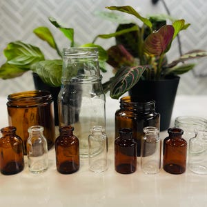 Upcycled Glass Jars for Propagation