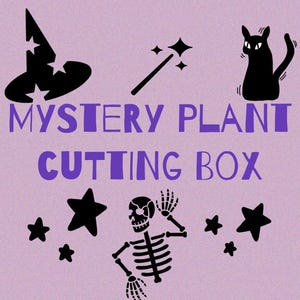 Mystery Plant Cutting Box with Propagation Jar!