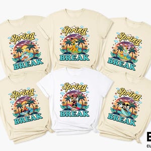 Disney Spring Break-shirt, Disney T-shirt familievakantie, Mickey en vrienden-shirt, Disney Summer Vacation-sweater, Disney Cruise-shirt