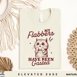 Flabbergasted Cat Shirt, Funny My Flabbers Have Been Gasted Tee, Surprised Kitty Graphic T-Shirt, Meme Sweatshirt, Animal Humor Shirt