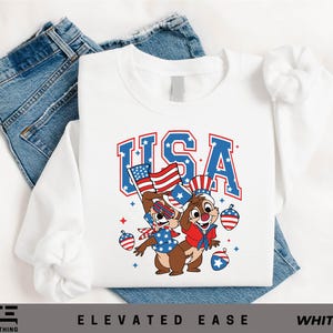 Chip And Dale USA Flag Shirt, Patriotic 4th Of July T-Shirt, Disney Squirrel Duo Tee, Red White Blue Matching Family Shirt,American Flag Tee
