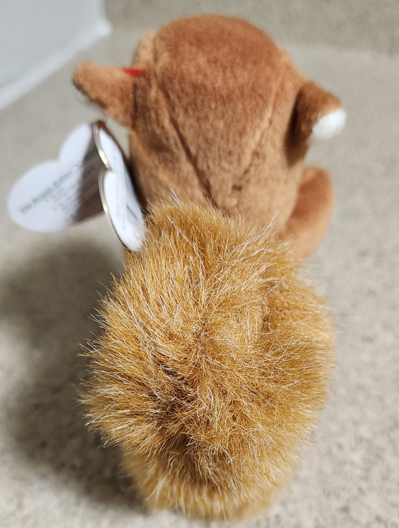 Nuts the Squirrel Rare Beanie Baby With Errors & Rare P.V.C Pellets Etsy