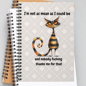 May include: A white notebook with a black spiral binding. The cover features a cartoon cat with orange and black stripes and the text "I'm not as mean as I could be and nobody fucking thanks me for that."