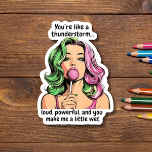 Funny Pop Art Woman Vinyl Sticker: Cheeky Quote Laptop Decal