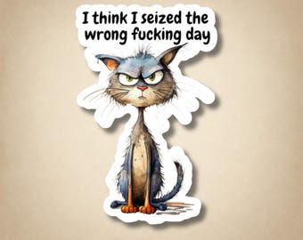 May include: A die-cut sticker featuring a grumpy, scruffy, blue-gray cat with green eyes and orange paws. Above the cat, the text reads: I think I seized the wrong fucking day. The illustration has a hand-drawn, watercolor-style aesthetic.
