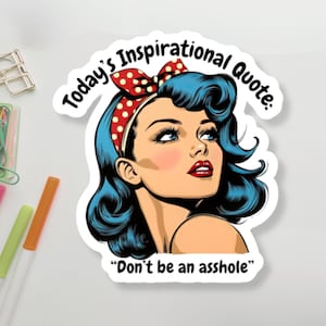 Snarky Sticker Vinyl Decal Pop Art Woman Sticker Funny Quote Decal Sassy Laptop Decal Swear Word Water Bottle Sticker Funny Computer Sticker