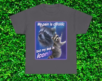 Funny Raccoon Meme Gift Tshirt, My Pain is Chronic Ass is Iconic