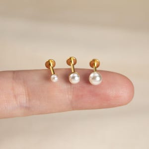 Può includere: Sono presentati tre orecchini a bottone color oro con dettagli di perle bianche. Gli orecchini sono di diverse dimensioni, con perle che variano da piccole a medie. Gli orecchini sono posizionati su uno sfondo neutro.