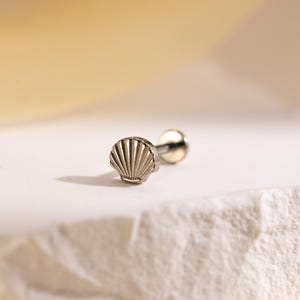 May include: A silver-colored seashell stud earring. The earring features a detailed seashell design on the front and a post with a round backing. The earring is set against a neutral background.