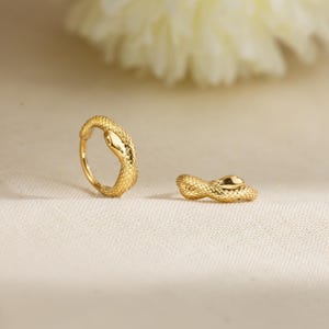 Può includere: Due orecchini dorati a forma di serpente. Uno è un orecchino a cerchio con la testa del serpente in alto, e l'altro è un orecchino a lobo. Gli orecchini hanno un motivo strutturato a forma di scaglie, su sfondo neutro.