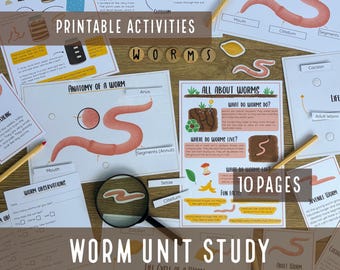 Lebenszyklus des Wurms Mini-Studium: Montessori Naturaktivität (PDF-Download-Paket)
