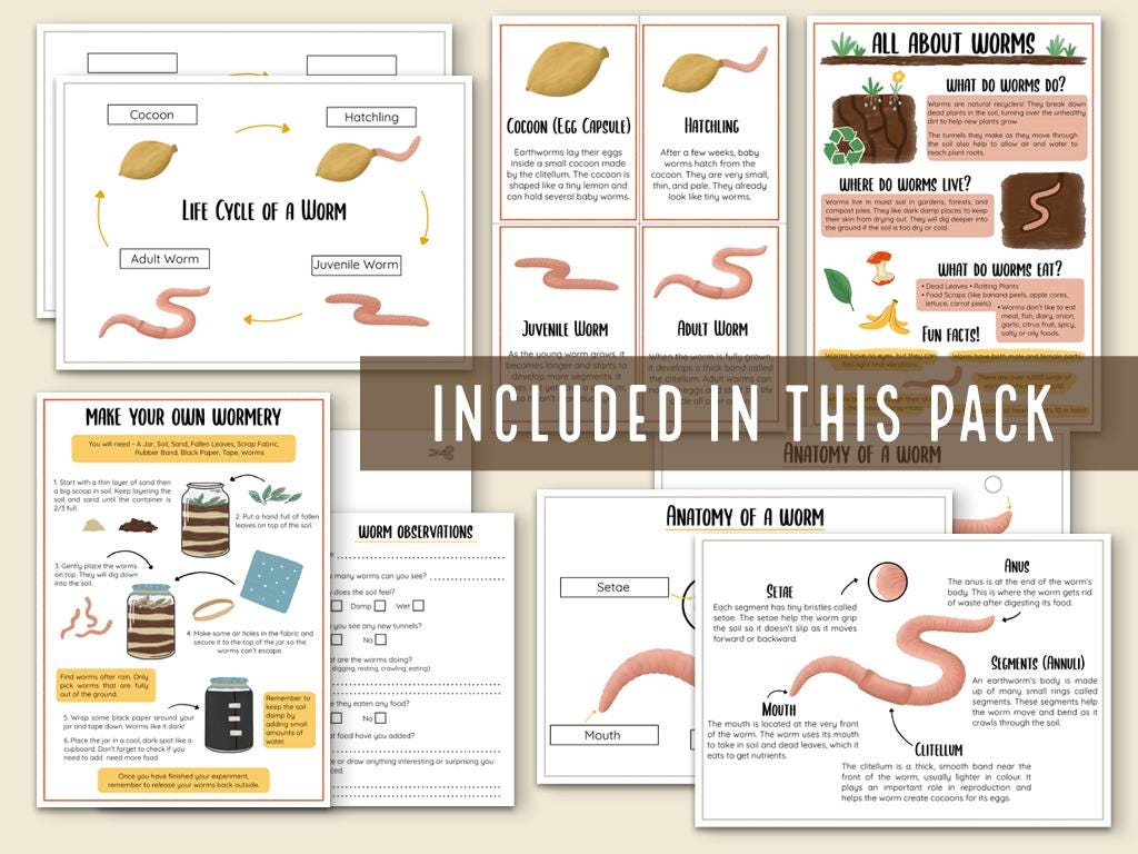 Worm Life Cycle Mini Study: Montessori Nature Activity (PDF ...