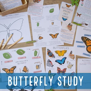 Butterfly Study, Nature Unit Study, Homeschool Learning, Montessori Nature Activity, Insect Study, Printable, Preschool, Educational pack
