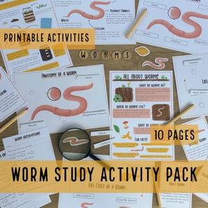 Worm Life Cycle Mini Study: Montessori Nature Activity (PDF ...