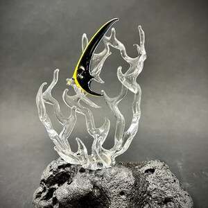 Mini Angelfish in a Coral Glass Sculpture - Etsy