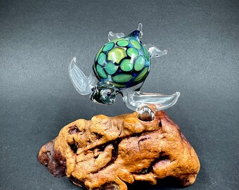 Blue Exotic Glass Sea Turtle on Manzanita Burl