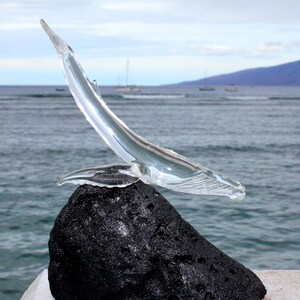 Pu&ograve; includere: Una scultura di vetro trasparente di una balena che salta fuori dall'acqua, poggiata su una roccia vulcanica nera. La scultura &egrave; posizionata sullo sfondo di un oceano blu e una catena montuosa lontana.