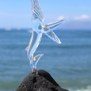 Pu&ograve; includere: Una scultura di vetro trasparente di una balena che salta fuori dall'acqua, posata su una roccia di lava nera. La scultura &egrave; una rappresentazione unica e artistica della vita marina.