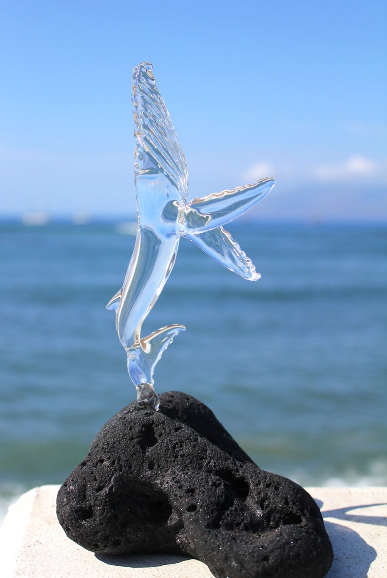 Pu&ograve; includere: Una scultura di vetro trasparente di una balena che salta fuori dall'acqua, posata su una roccia di lava nera. La scultura &egrave; una rappresentazione unica e artistica della vita marina.