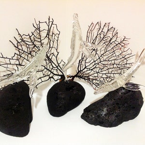 Pu&ograve; includere: Tre sculture di pesci in vetro, ciascuna con una posa diversa, sono esposte su basi di roccia vulcanica nera. Le sculture sono circondate da rami di corallo nero.