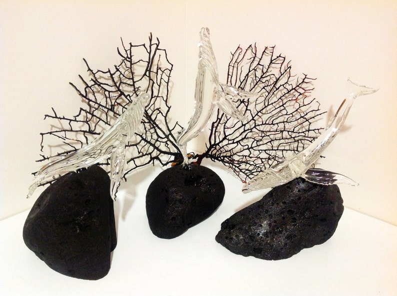 Pu&ograve; includere: Tre sculture di pesci in vetro, ciascuna con una posa diversa, sono esposte su basi di roccia vulcanica nera. Le sculture sono circondate da rami di corallo nero.