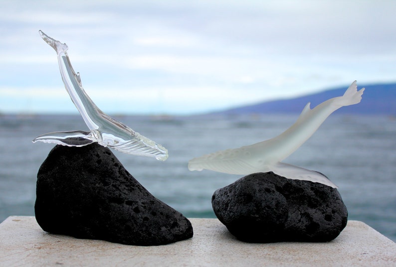 Pu&ograve; includere: Due sculture di balena in vetro, una bianca e una trasparente, sono appoggiate su basi di roccia lavica nera. Le balene sono posizionate come se stessero nuotando l'una verso l'altra.