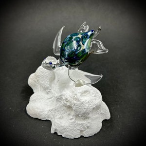 Exotic Glass Sea Turtle fin mount image 7