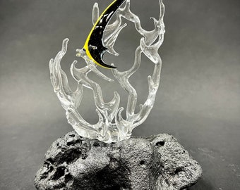 Mini Angelfish in a coral glass sculpture