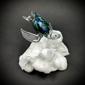 Exotic Glass Sea Turtle fin mount image 5
