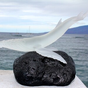 Pu&ograve; includere: Una scultura in vetro trasparente di una megattera che salta fuori dall'acqua, appoggiata su una roccia di lava nera. La scultura &egrave; una bellissima rappresentazione della bellezza dell'oceano.