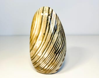 Polished Zebra Jasper Freeform: Cream Tones Crystal Gift