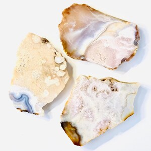 May include: Three irregular agate slices with natural banding and crystalline textures. The stones feature a palette of cream, beige, soft pink, and translucent white, with one piece displaying distinct blue-grey concentric wave patterns.