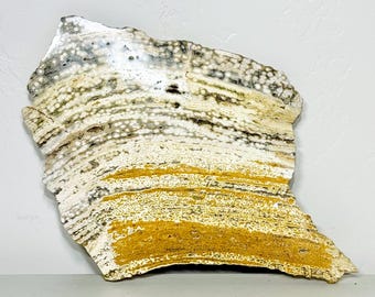 Golden Ocean Jasper Slab - Polished Madagascar Stone with Rough Back, 1.4 lb Collector Display Specimen