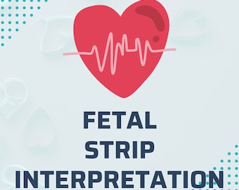 Labor and Delivery Fetal Heart Rate Interpretation Notes, OB Nursing Student Notes, New Grad L and D, Fetal Monitoring Note Instant Download