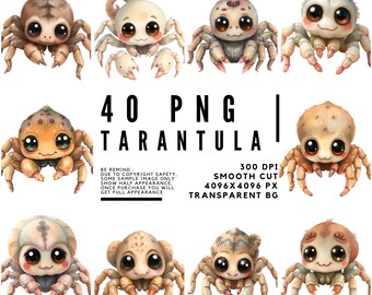 Watercolor Spider Clipart: 40 Transparent PNGs for Scrapbooking & Journaling