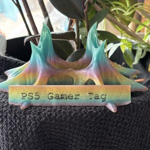 May include: A multi-colored PS5 Gamer Tag, with a rainbow gradient of colors. The tag is in front of a plant with dark green leaves. The text "PS5 Gamer Tag" is engraved on the front of the tag.