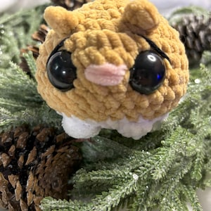 Sad Hamster