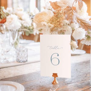 Dusty Blue Script Wedding Table Numbers 1-30, Minimalist Printable Digital Download