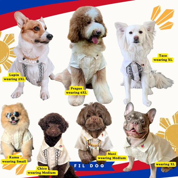 Dog Barong: Filipino Pet Shirt, Handmade in Philippines