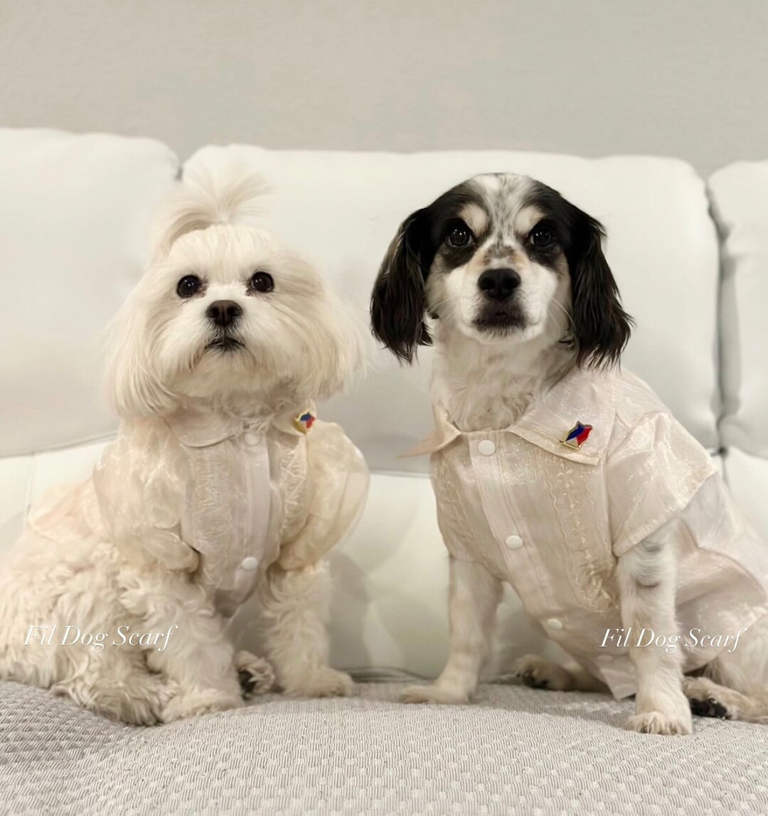 Dog Barong Etsy