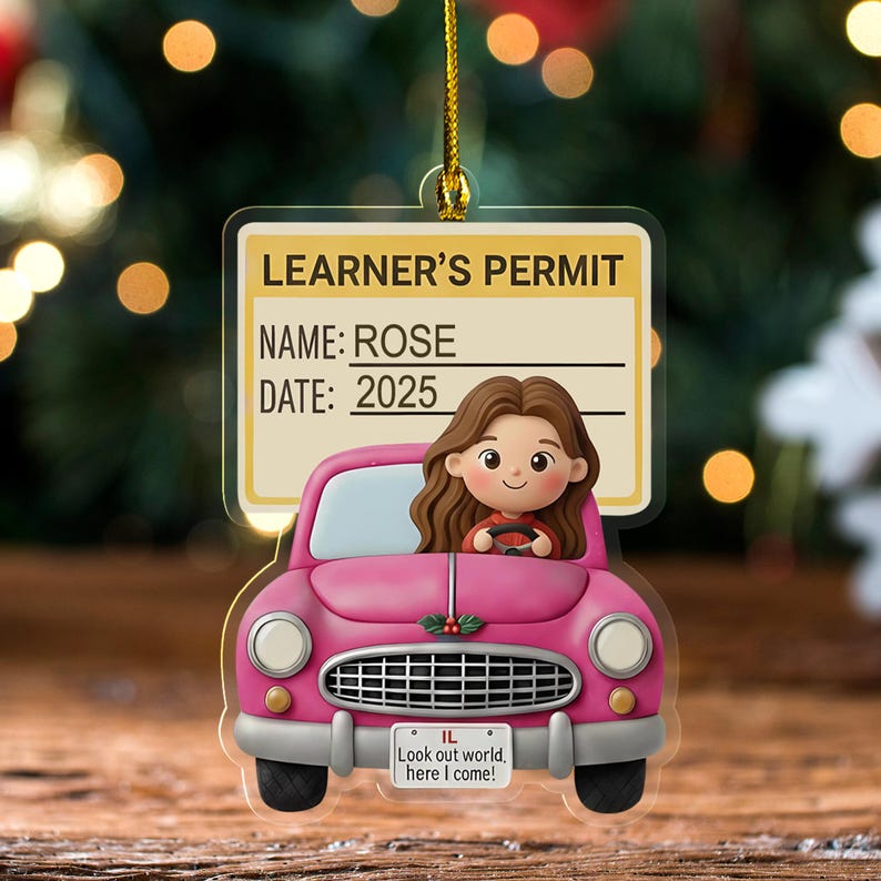Male or Female Driver Learner's Permit Personalized Christmas Hologram ...