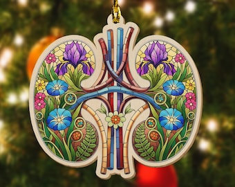 Anatomical Kidneys Ornament, Flat 2D Kidneys Ornament, Gift for Dialysis Nurse, Double Kidney Ornament, Kidney Nurse, Nurse Crew Gift SL3V02